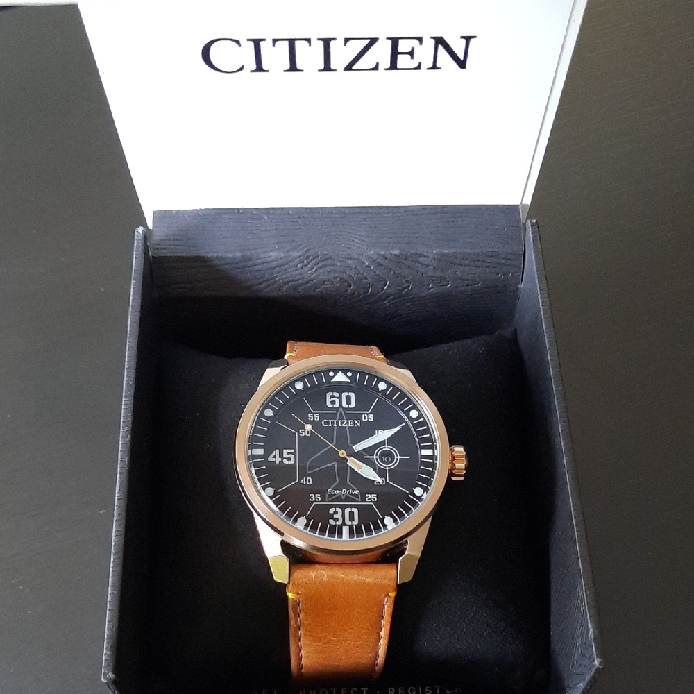 Citizen Avion Pilot Watch